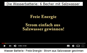 Titel: Strom aus Salzwasser gewinnen