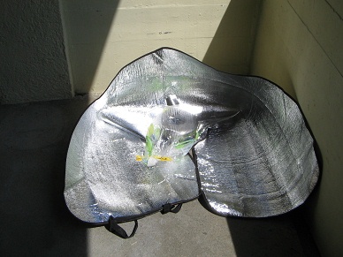 Sonnenkocher am 5.5.2008 (02) Sonnenkocher am 5.5.2008 (02)