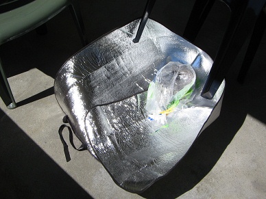 Sonnenkocher am 5.5.2008 (08) Sonnenkocher am 5.5.2008 (08)