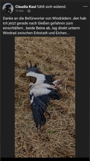 Windrad Region Giessen (NRW) am
27.7.2025: Windrad killt Storch - beide
Beine ab Windrad Region Giessen
(NRW) am 27.7.2025: Windrad killt Storch
- beide Beine ab