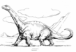 Camarasaurus;
                                          zum Natur-Index