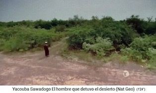 In der
                                            W�ste Wald pflanzen, z.B.
                                            Yacouba Sawadogo im Dorf
                                            Gourga in Burkina Faso