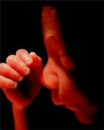 Ungeborenes im Mutterleib. Das
                              Ungeborene wird sich f�r das
                              Amalgam-Quecksilber bedanken, das ihm
                              durch das Blut der Mutter zugef�hrt wird,
                              wenn die Zahn�rzte der Mutter Amalgam in
                              den Mund gelegt haben. Und da sind auch
                              noch die anderen Metalle...