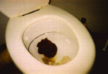 Der Menschenkuchen
                          (analog zu Hundekuchen, volkst�mlich auch
                          "Scheisse" genannt) ist schwer mit
                          Quecksilber belastet, wenn man
                          Amalgamf�llungen hat.