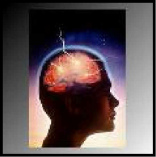 Quecksilber aus Amalgam wird ins Blut
                              �bertragen und reichert sich im Gehirn an