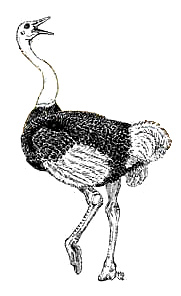 Wendehals, so wie
ein Vogel Strauss argumentieren nun die
"Experten", und die Menschen waren
ihnen immer egal, weil sie ihre Stelle nicht
verlieren wollten... Wendehals, so wie ein Vogel
Strauss argumentieren nun die
"Experten", und die Menschen waren
ihnen immer egal, weil sie ihre Stelle nicht
verlieren wollten...