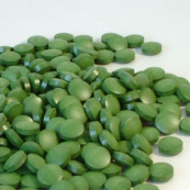 Clorella-Pyrenoidosa-Algentabletten
                                zum Binden und Ausscheiden von Metallen
                                aus dem Darm