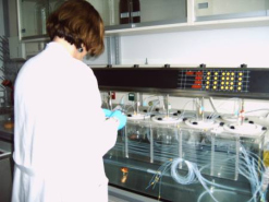 Ein
                          Labor des BfArM. Die "Wissenschaft"
                          in Deutschland verweigert die Entwicklung von
                          Messger�ten f�r Amalgam-Quecksilber. F�r
                          andere Messungen sind zu Hauf Messger�te
                          vorhanden. Diese Diskriminierung gegen die
                          Messung von Amalgam-Quecksilber ist gar nicht
                          "wissenschaftlich"...