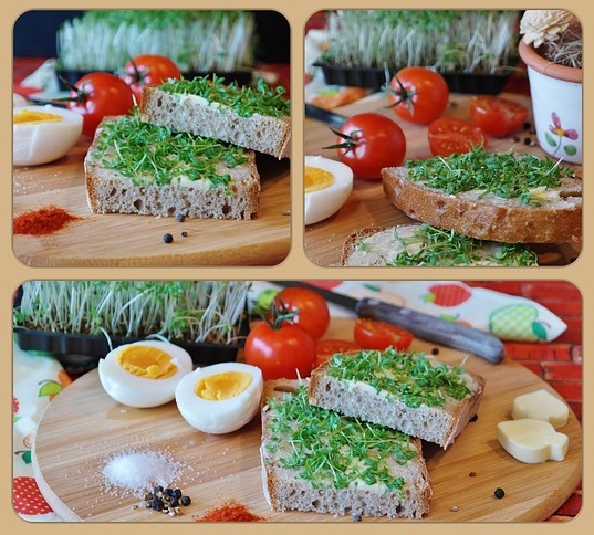 Geschnittene Gartenkresse auf dem Butterbrot