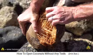 The outer shell of the
                  coconut can now be opened or torn apart