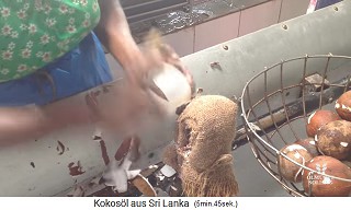 The pulp /
                    coconut meat (copra) is peeled by hand with a knife
                    on a buffer 02