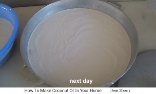 the next day a coconut cream is
                    formed above, below is water