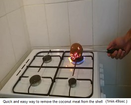 Der Kokosnuss werden die Haare abgebrannt 01