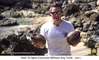 Vemos cocos
                  originales en Hawaii