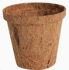 Maceta de fibra de
                  coco para pl�ntulas y plantones de horticultura