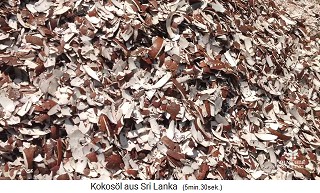 Las c�scaras de
                    copra