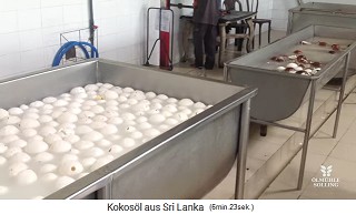 La pulpa
                    (copra) est� ba�ada