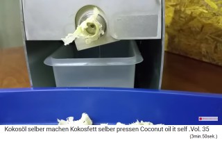 Vista lateral de la prensa de
                aceite: en la molina de aceite hay un recipiente de
                aceite donde se recoge el aceite