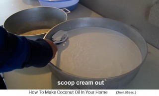 La crema
                    de coco se extrae 01