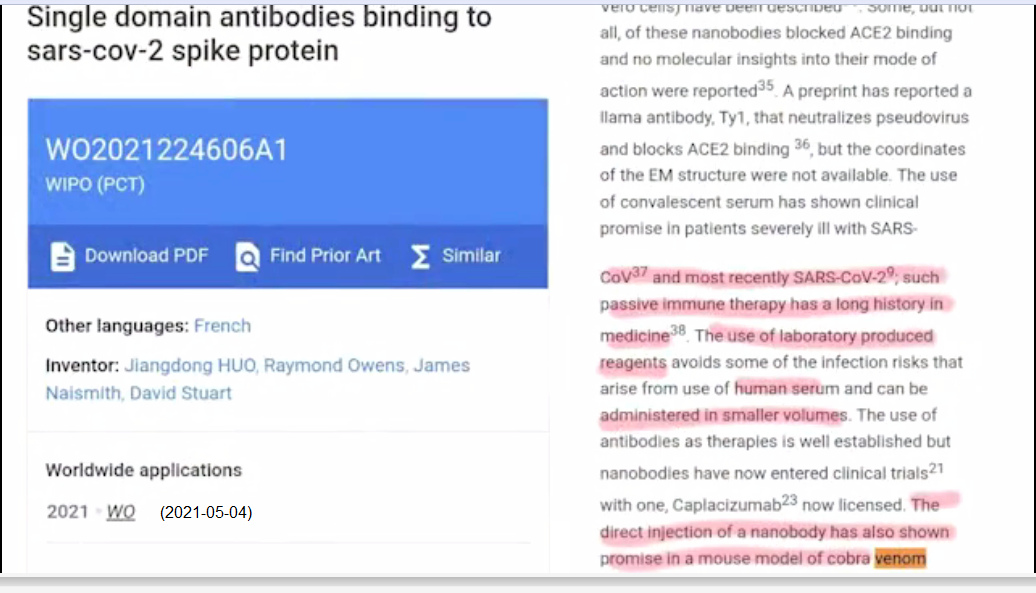 4.5.2021: Single domain antibodies binding to
sars-cov-2 spike protein 4.5.2021: Single domain
antibodies binding to sars-cov-2 spike protein