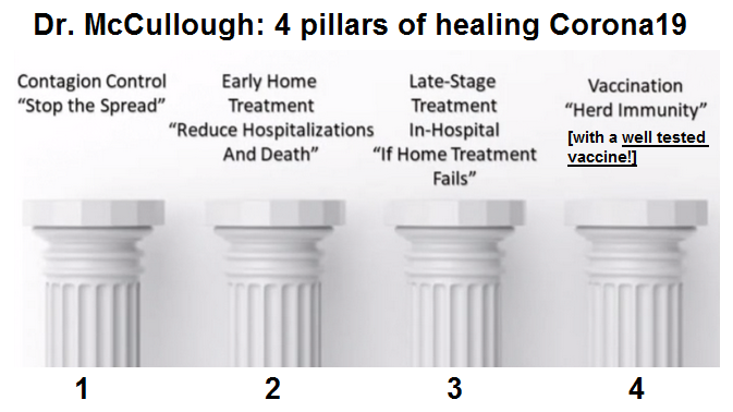 Dr. McCullough: 4 pillars for
healing Corona19 Dr.
McCullough: 4 pillars for healing
Corona19