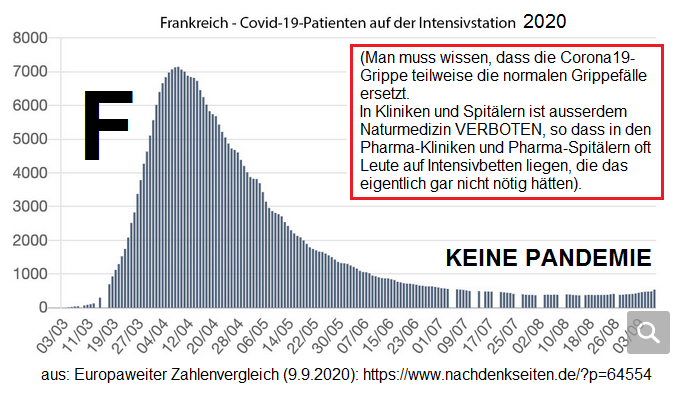 Intensivbetten mit Covid-19-Patienten in Frankreich
                2020 - Grafik (Quelle: Franz�sisches
                Gesundheitsministerium) (Man muss wissen, dass die
                Corona19-Grippe teilweise die normalen Grippef�lle
                ersetzt. In Kliniken und Spit�lern ist ausserdem
                Naturmedizin VERBOTEN, so dass in den Pharma-Kliniken
                und Pharma-Spit�lern oft Leute auf Intensivbetten
                liegen, die das eigentlich gar nicht n�tig h�tten).