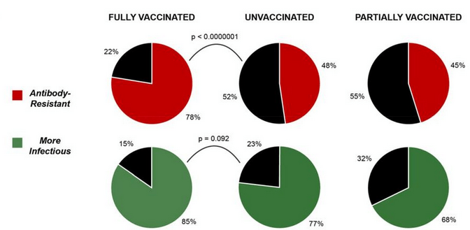 GENgeimpfte sind ansteckend,
Grafiken 12.10.2021 GENgeimpfte sind ansteckend, Grafiken 12.10.2021