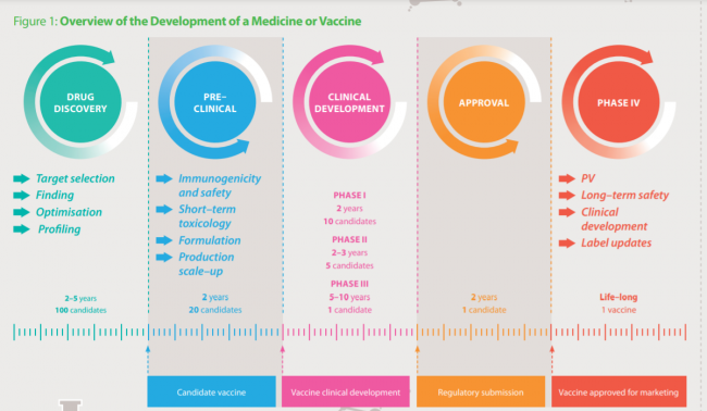 Entwicklungsphasen eines Impfstoffs: Das
dauert 5 bis 10 Jahre Entwicklungsphasen eines
Impfstoffs: Das dauert 5 bis 10 Jahre