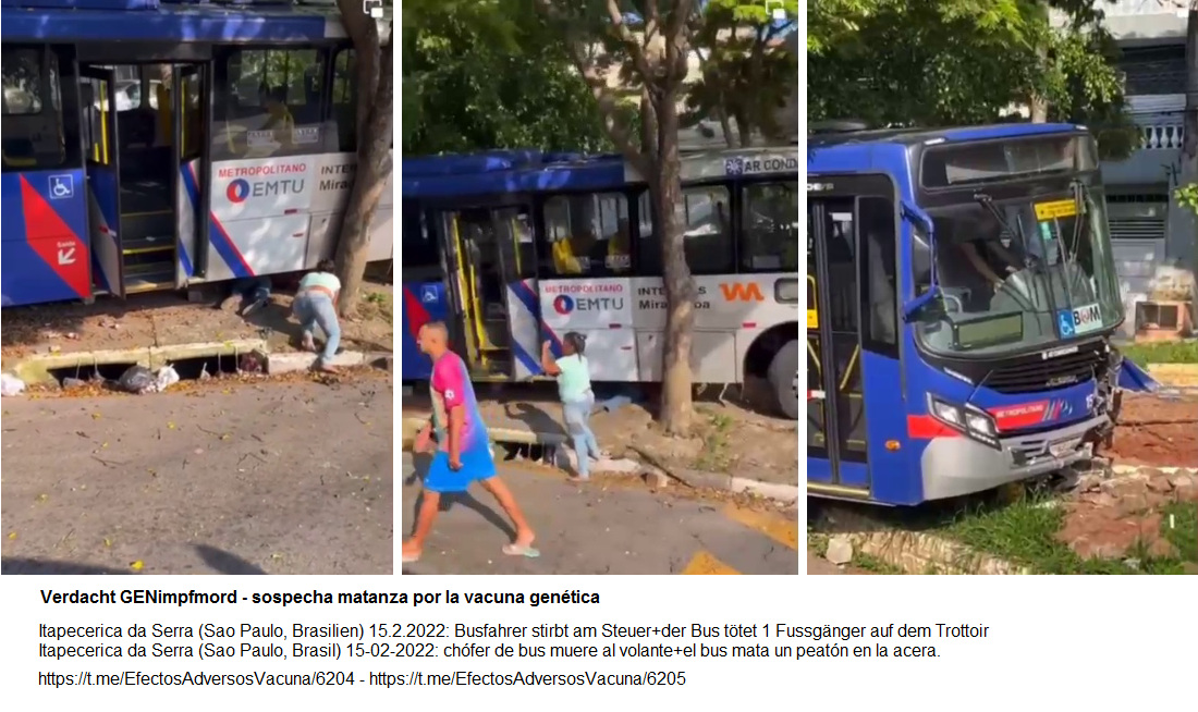 GENimpfmord
                    mit Vaccident in Itapecerica da Serra (Sao Paulo,
                    Brasilien) 17.2.2022: Busfahrer stirbt am Steuer -
                    der Bus saust auf ein Trottoir und t�tet noch eine
                    Person - Meldung vom 15.2.2022: Conductor
                    simplemente BORRADO en el volante. No es
                    #muerterepentina, es #muerterepentina. Una vida que
                    fue borrada. Desafortunadamente, el autob�s fuera de
                    control atropell� y se cobr� otra vida. Motorista
                    morre ap�s sofrer mal s�bito, atropela e mata
                    pedestre em Itapecerica da Serra