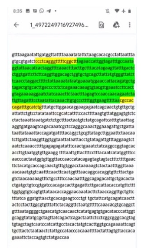 Die Liste mit den verglichenen Basenpaaren