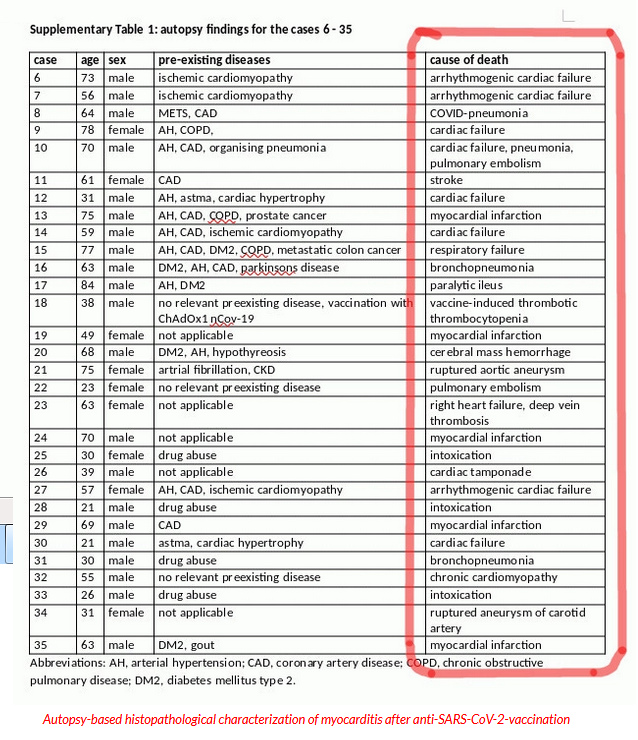 Studie aus Heidelberg 4.12.2022: Tabelle der
Todesursachen (englisch) Studie aus Heidelberg
4.12.2022: Tabelle der Todesursachen (englisch)