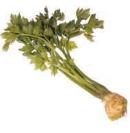 Sellerie-P�ree mit
                        Zucker und Zitrone reguliert die Menstruation.