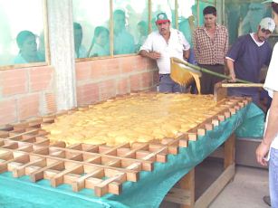 Produktion von
                                    Zuckerrohrzuckermasse 03: Die Masse
                                    wird in Formen gegossen