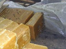 Zuckerrohrzucker,
                                    Rohrzuckermasse in Quaderform, ein
                                    Element gegen Blutarmut