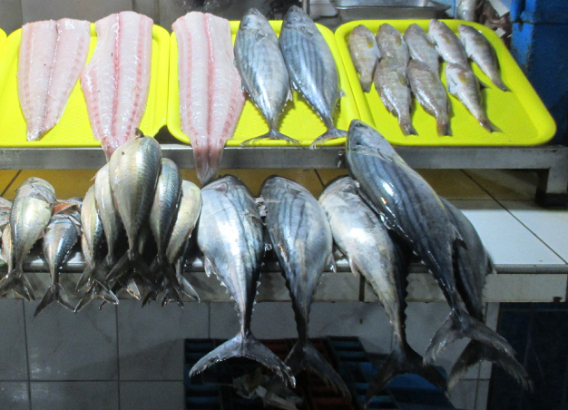 Fischtheke in
einem Markt in Lima 2019 Fischtheke in einem Markt in
Lima 2019