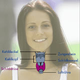 Die Schilddr�se der Menschen
                            mit Blutgruppe 0 ist ein zentrales Problem
                            wegen ihrer Unterfunktion. Es m�ssen
                            Nahrungsmittel eingenommen werden, die Jod
                            enthalten, um diese Unterfunktion
                            auszugleichen.