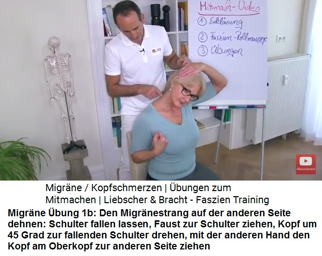 Migr�ne �bung 1b: Der
                    Migr�nestrang wird gedehnt: Schulter fallenlassen,
                    Faust zur Schulter ziehen, Kopf um 45 Grad zur
                    fallenden Schulter drehen, mit der anderen Hand den
                    Kopf am Oberkopf zur anderen Seite ziehen - andere
                    Seite