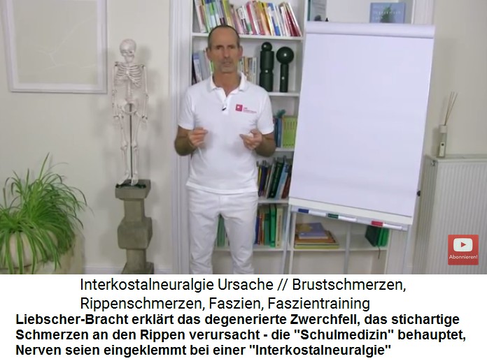 Intercostalneuralgie Video 1: Das
                      degenerierte Zwerchfell provoziert stichartige
                      Schmerzen im Rippenbereich, die
                      "Schulmedizin" behauptet, Nerven seien
                      eingeklemmt und nennt es in falscher Weise
                      "Intercostalneuralgie"