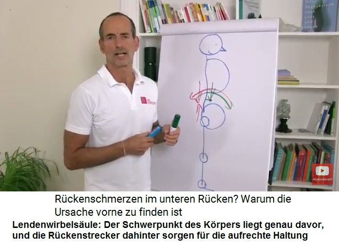 Lendenwirbels�ule: Der
                  Schmerzpunkt des K�rpers liegt genau davor (kurz vor
                  der Lendenwirbels�ule), und die R�ckenstrecker-Muskeln
                  dahinter (im Bereich der Lendenwirbels�ule) sorgen f�r
                  eine aufrechte Haltung