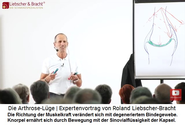 Roland Liebscher erkl�rt die Funktion von
                  Gelenk, Knorpel, Kapsel und Kr�ften durch die
                  Degenerierung