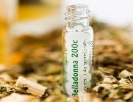 Hom�opathisches
                Heilmittel verd�nnte Schwarze Tollkirsche (Belladonna)