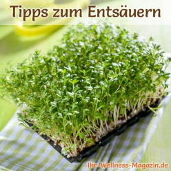 Keimlinge wirken
              basisch und ents�uern - wie die n�chterne Einnahme von
              Natron