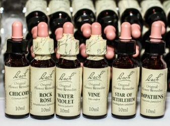Bachbl�tenessenzen in Fl�schchen