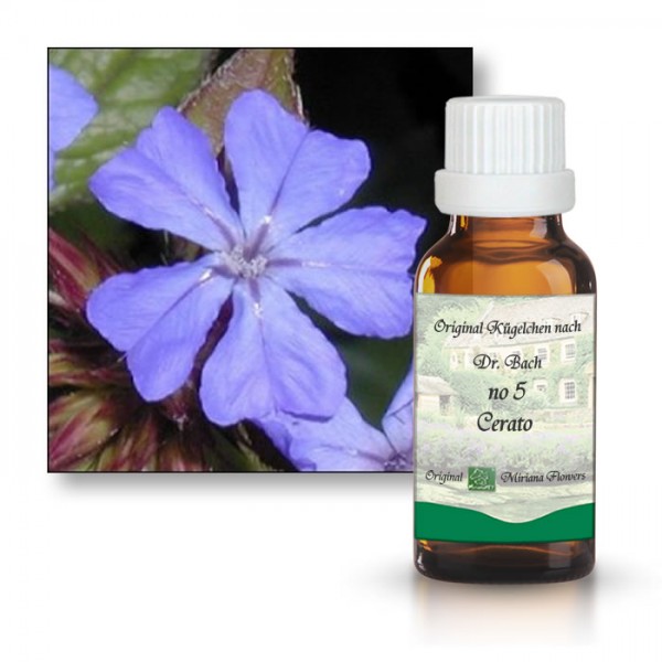 Bachbl�tenessenz Bleiwurz (Cerato)