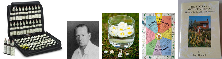 Bachbl�ten-Prinzipien mit Edward
                                Bach: Ein Etui mit allen
                                Bachbl�tenessenzen, Edward Bach, eine
                                Essenz im Sonnenlicht, Buch �ber Mount
                                Vernon, Grafik der Bachbl�ten in ihren
                                Wirkungsbereichen