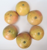 Grapefruits mit Mineralien und
                        viel Vitamin C