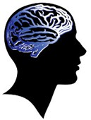 Das Hirn
                      wird durch Borax gest�rkt