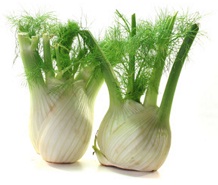 Fenchel: Knolle, Triebe
              und Fiederbl�tter ("Fenchelgr�n")