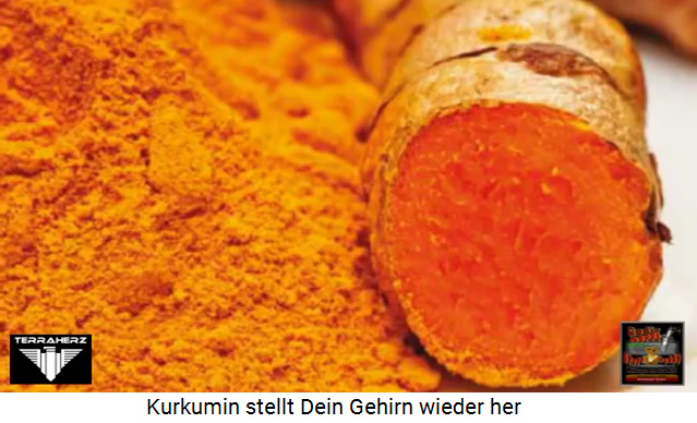 YouTube-Kanal Terraherz:
                Kurkumawurzel mit Kurkumapulver aus dem Video; Kurkumin
                stellt dein Gehirn wieder her