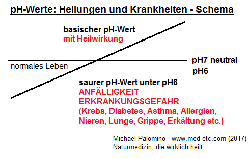 Das Schema mit den
                            pH-Werten: sauer unter pH6 (Anf�lligkeit und
                            Erkrankungsgefahr), zwischen pH6 und pH7 f�r
                            das normale Leben, der neutrale pH-Wert pH7,
                            und der basisch-heilende pH-Wert �ber pH7
                            zwischen pH7 und pH8